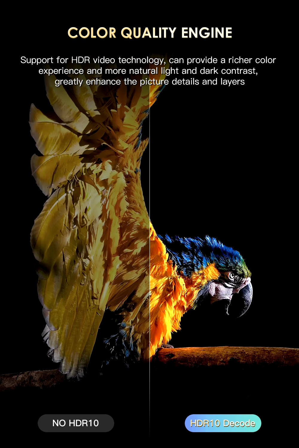 H20PRO Smart TV Box Wifi6 Android 10 6K 4K 3D Media Player TV Box Android 2.4G&5G WIFI Very Fast 1080P Set Top Box